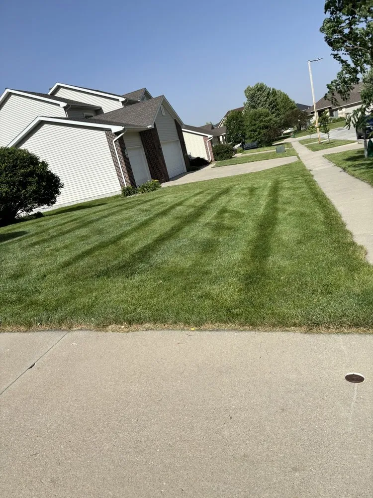 Professional yard cleanup service in Gilbert, IA - Savage Outdoor Solutions