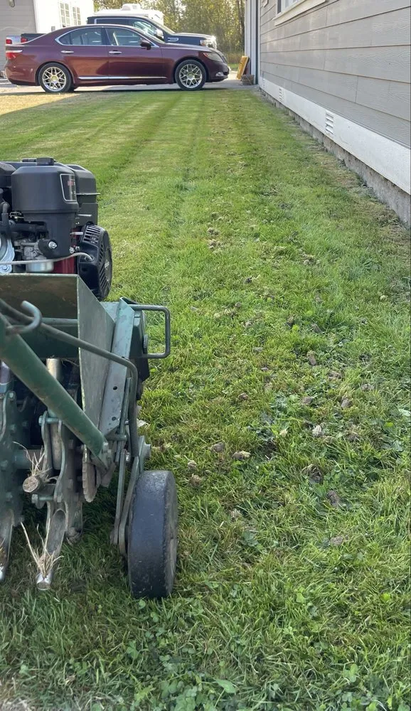 Affordable yard cleanup service experts serving Lakewood, WA - Savage Rootz Lawn Care