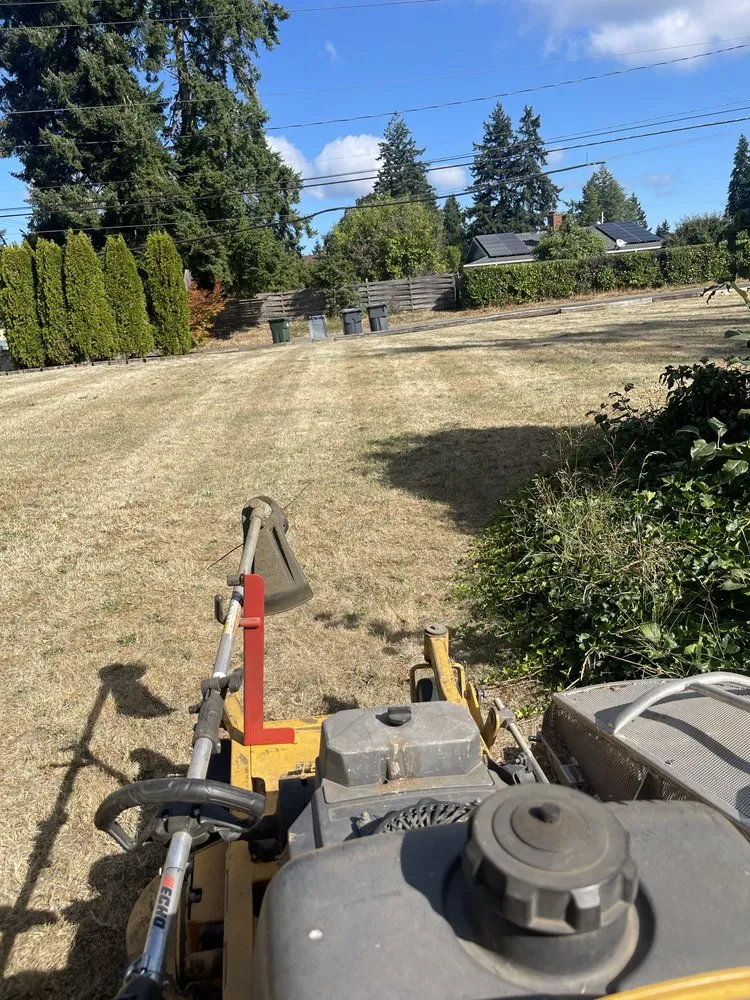 Reliable landscape design for residential properties across Lakewood, WA - Savage Rootz Lawn Care