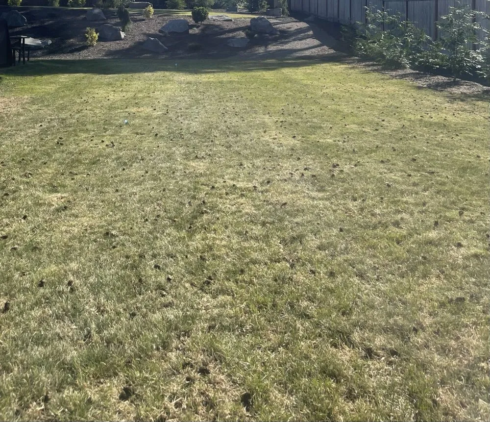 Local outdoor landscaping for homes across Lakewood, WA - Savage Rootz Lawn Care