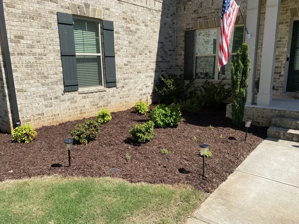 Expert yard cleanup service experts serving Cleveland, GA - Savage Scapes