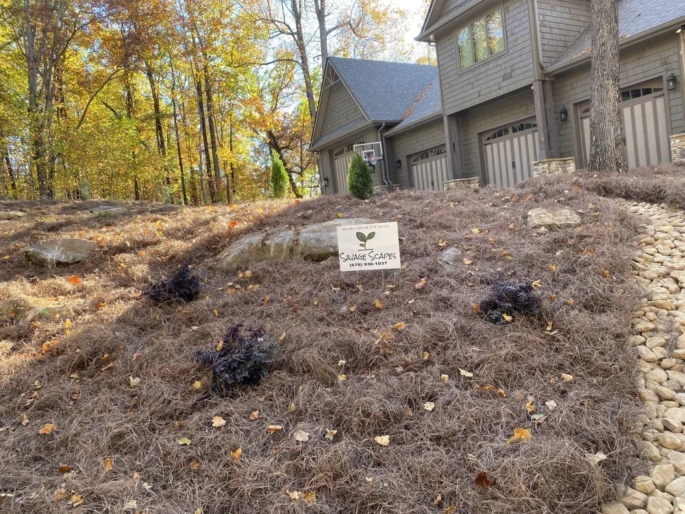 Professional yard cleanup service for homes in Cleveland, GA by Savage Scapes