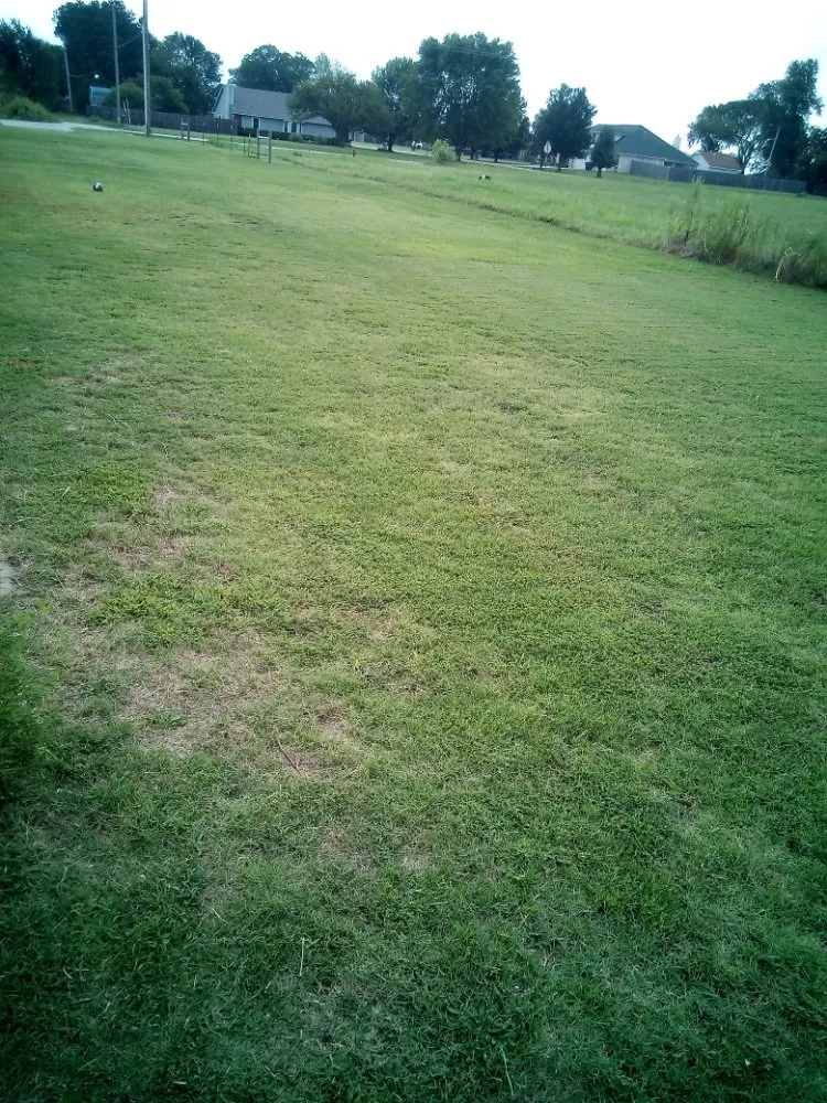 Top-rated yard maintenance in Tulsa, OK by Savage Trade