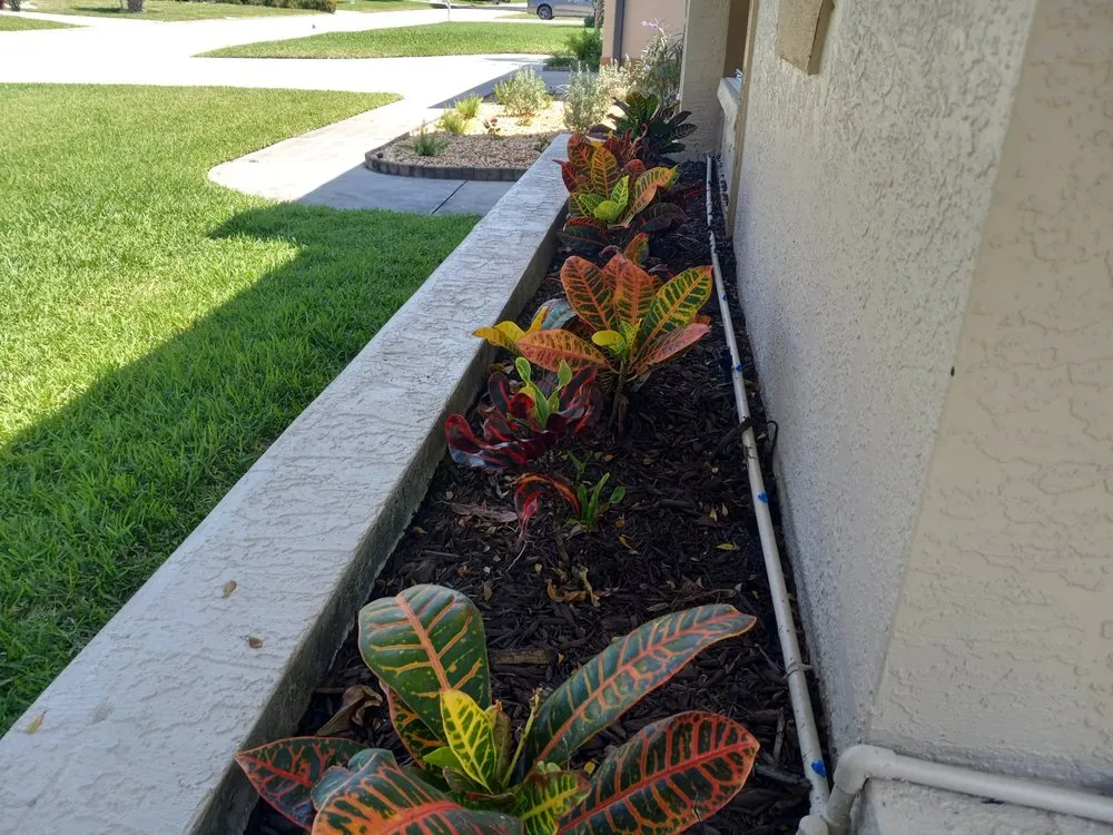 Affordable landscape design in Cape Coral, FL - Savage Tree and Landscaping