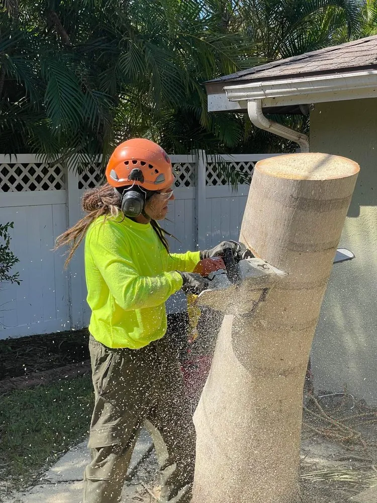 Affordable landscape installation in Cape Coral, FL - Savage Tree and Landscaping