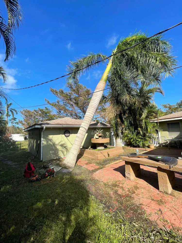 Local landscape design for beautiful yards across Cape Coral, FL - Savage Tree and Landscaping