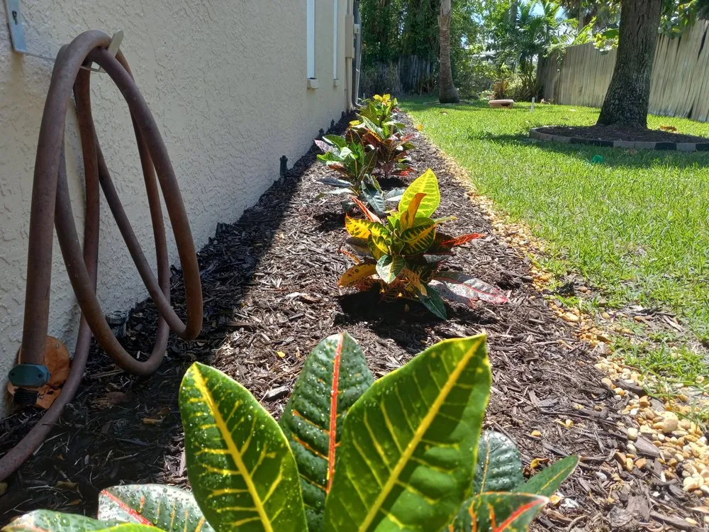 Expert lawn mowing service experts serving Cape Coral, FL - Savage Tree and Landscaping