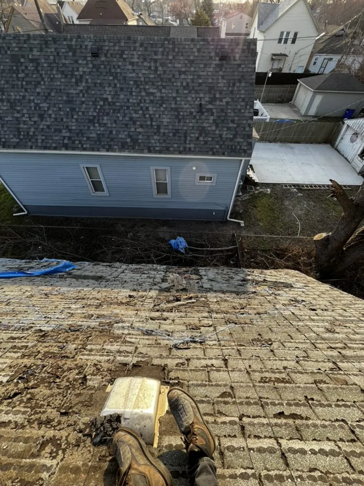 Professional yard cleanup service experts serving Monroe, MI - Savagefam Handyman