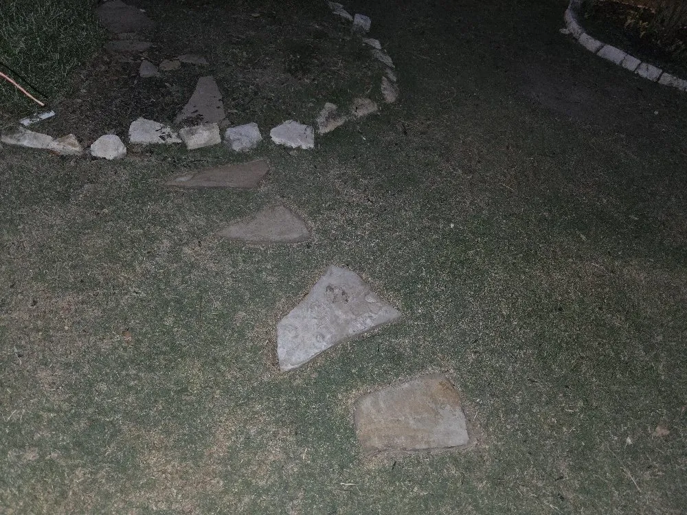 Affordable yard maintenance with custom design in San Antonio, TX by Savagely Scaped