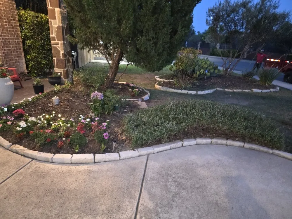 Local yard maintenance in San Antonio, TX by Savagely Scaped