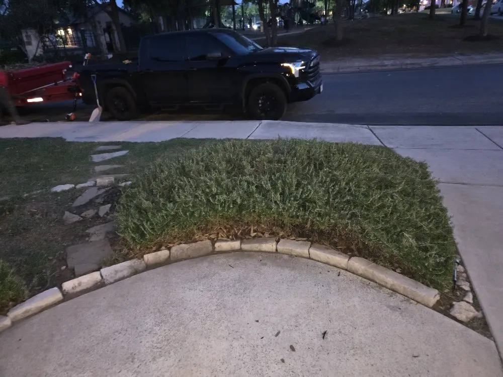 Top-rated yard cleanup service near you in San Antonio, TX by Savagely Scaped