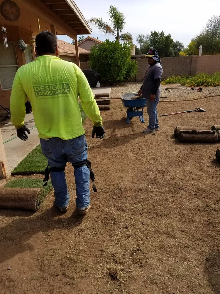 Affordable outdoor landscaping experts serving Phoenix, AZ - Savanna Design and Landscaping