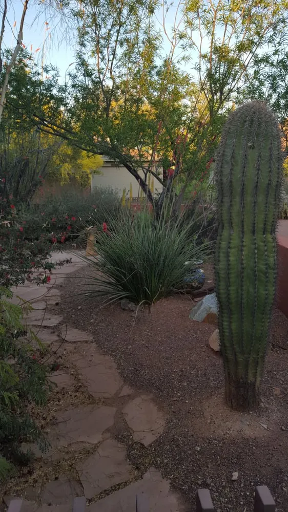 Top-rated garden landscaping in Phoenix, AZ by Savanna Design and Landscaping