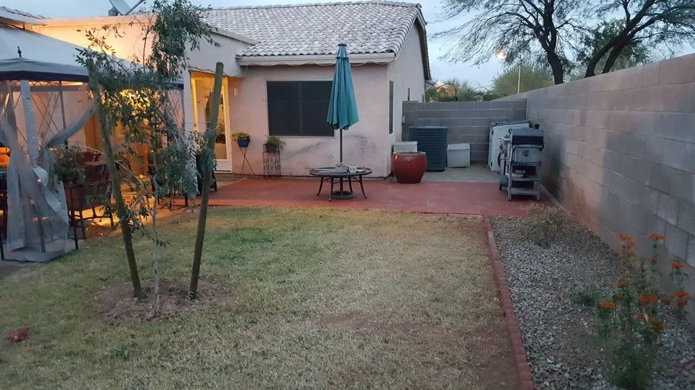 Professional yard cleanup service in Phoenix, AZ by Savanna Design and Landscaping
