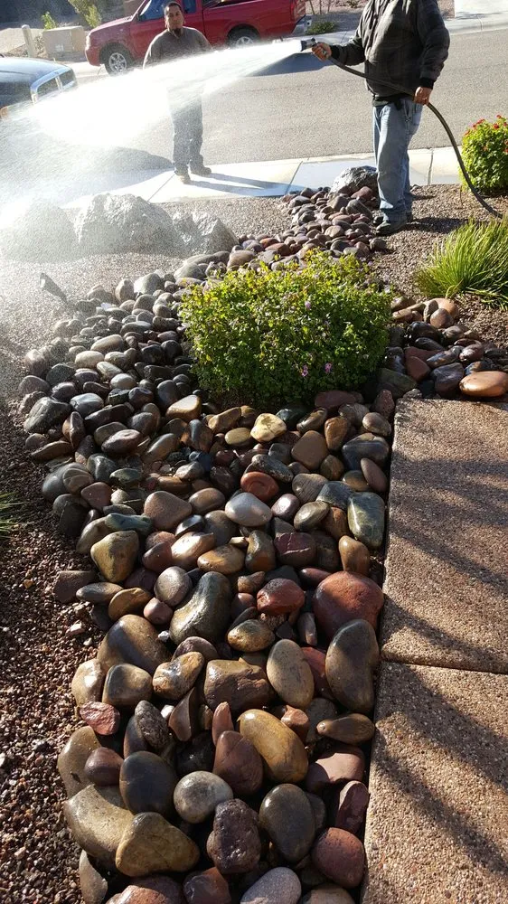 Expert yard maintenance for residential properties in Phoenix, AZ by Savanna Design and Landscaping