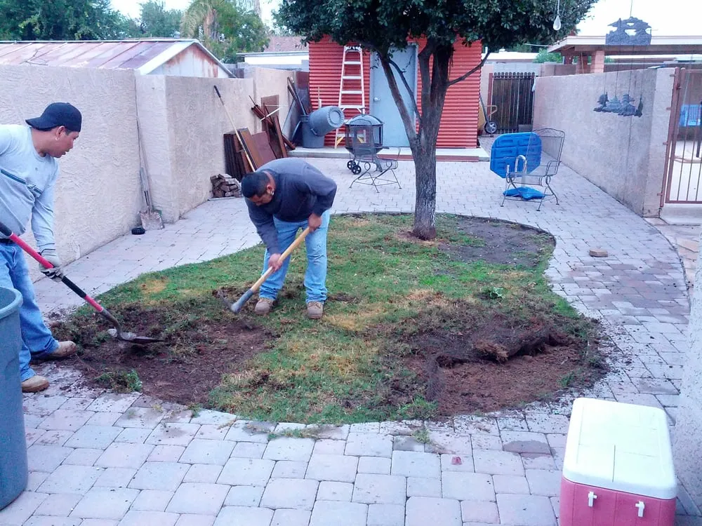 Local landscaping services experts serving Phoenix, AZ - Savanna Design and Landscaping