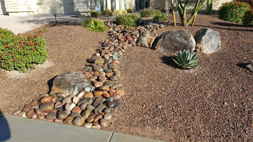 Expert yard maintenance in Phoenix, AZ - Savanna Design and Landscaping