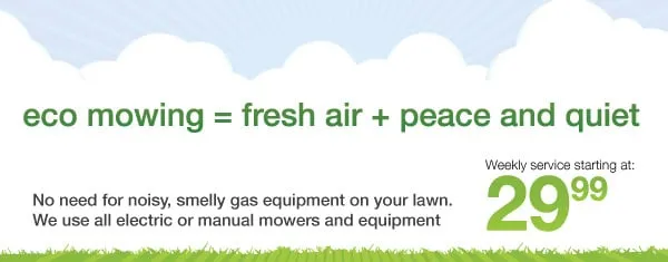 Top-rated landscape design experts serving Savannah, GA - Savannah Eco Mowing