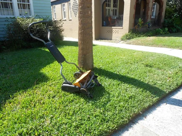 Reliable landscape design for residential properties across Savannah, GA - Savannah Eco Mowing