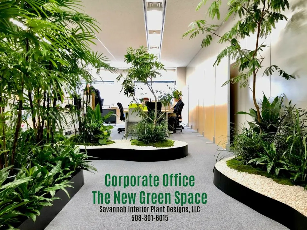 Custom garden landscaping in Savannah, GA - Savannah Interior Plant Designs