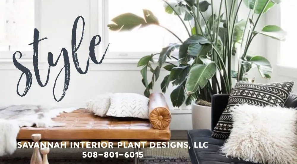 Custom yard cleanup service in Savannah, GA by Savannah Interior Plant Designs