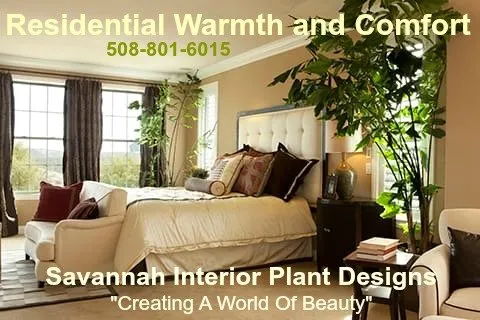 Reliable garden landscaping in Savannah, GA - Savannah Interior Plant Designs