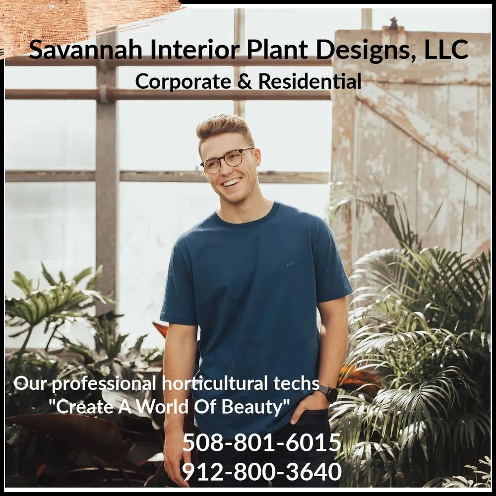 Trusted landscape installation in Savannah, GA - Savannah Interior Plant Designs