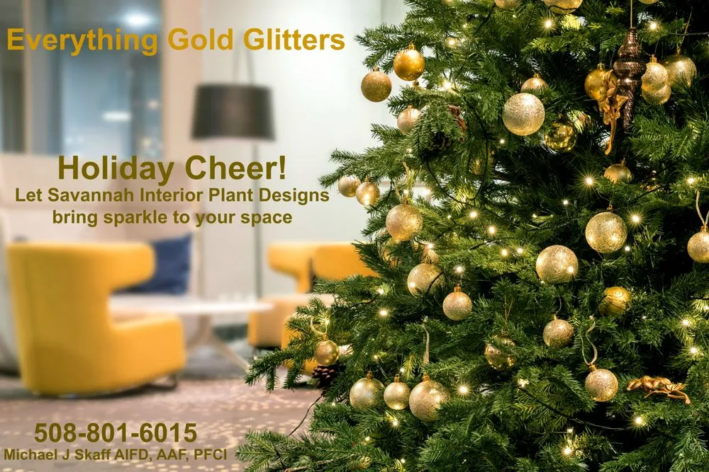 Expert outdoor landscaping near you in Savannah, GA by Savannah Interior Plant Designs