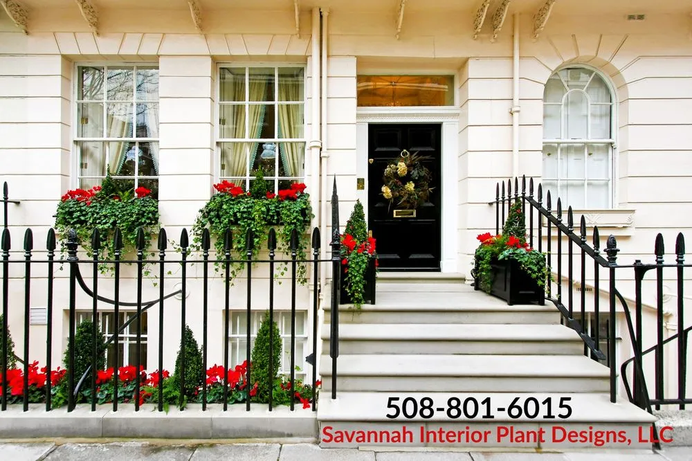 Custom residential landscaping experts serving Savannah, GA - Savannah Interior Plant Designs