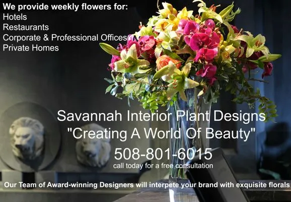 Savannah Interior Plant Designs Logo