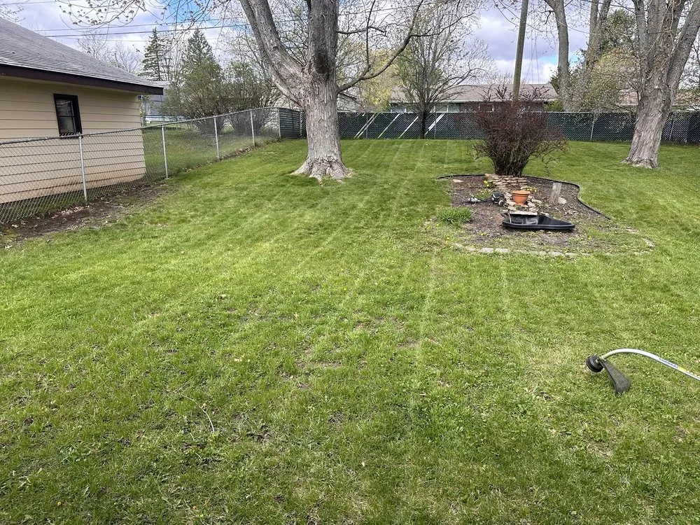 Top-rated yard cleanup service in Freeport, IL by Savarousjr A1 Lawn Service