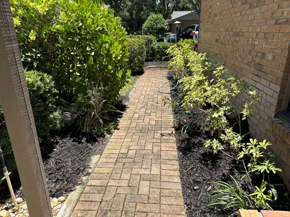 Trusted lawn mowing service with custom design across Arcadia, FL - Savatorres and Brothers