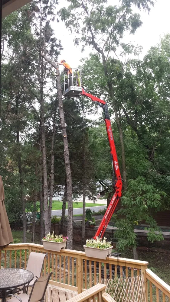 Reliable landscaping services in Afton, MN by SavATree Afton