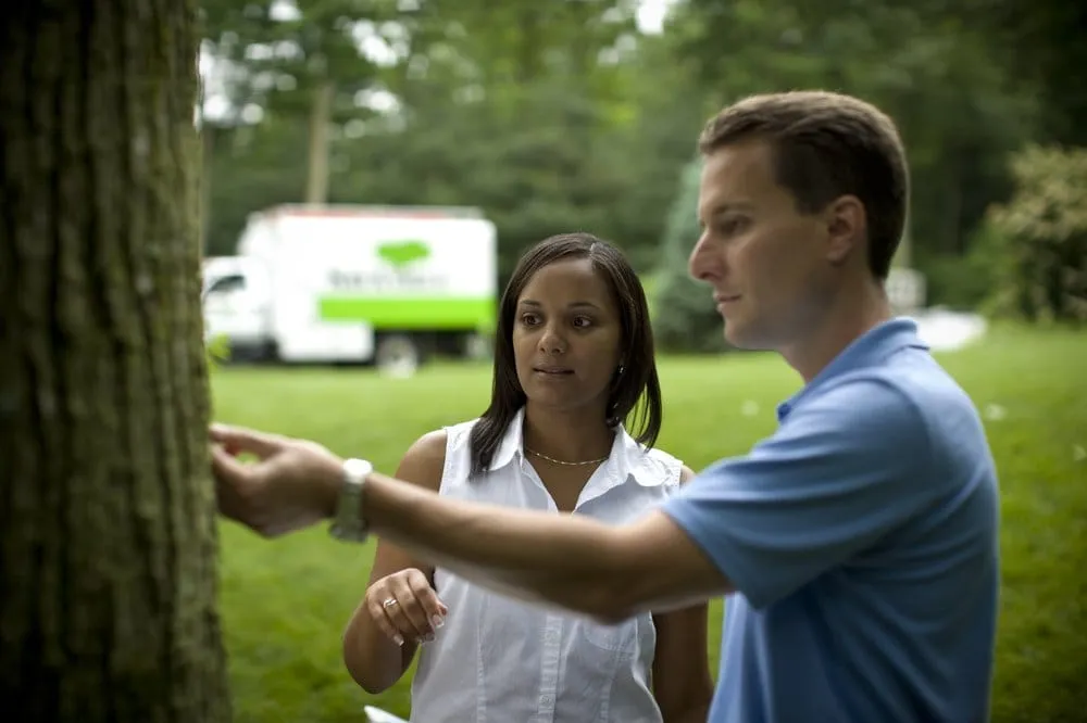 Top-rated lawn care service experts serving Basking Ridge, NJ - SavATree Basking Ridge