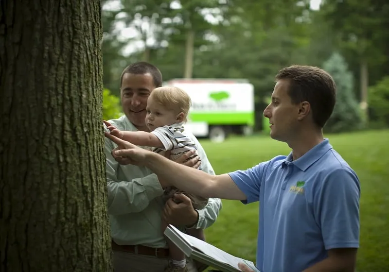 Reliable lawn mowing service experts serving Basking Ridge, NJ - SavATree Basking Ridge