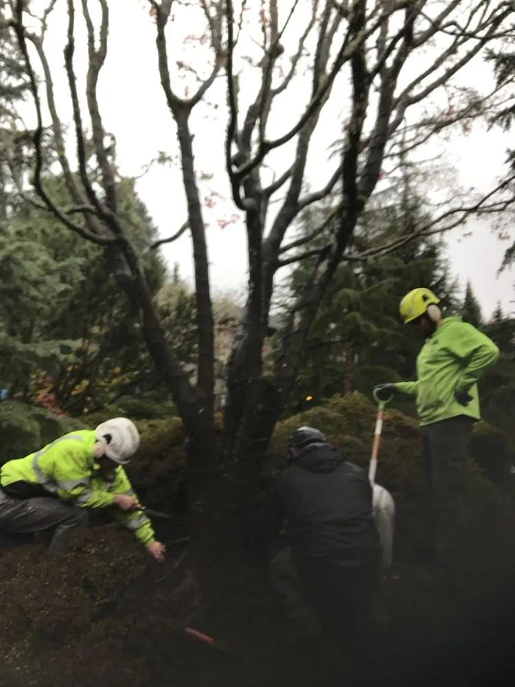 Affordable landscape design in Beaverton, OR by SavATree Beaverton