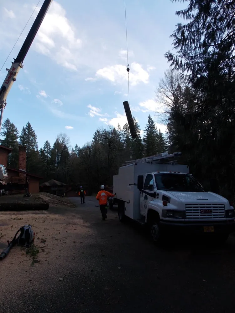 Trusted yard maintenance in Beaverton, OR - SavATree Beaverton