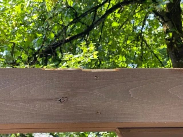 Trusted landscape design in Beaverton, OR by SavATree Beaverton