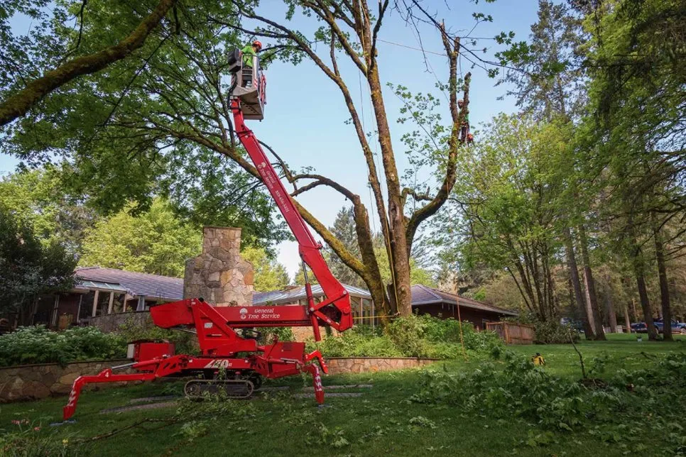 Reliable landscape design for beautiful yards across Beaverton, OR - SavATree Beaverton