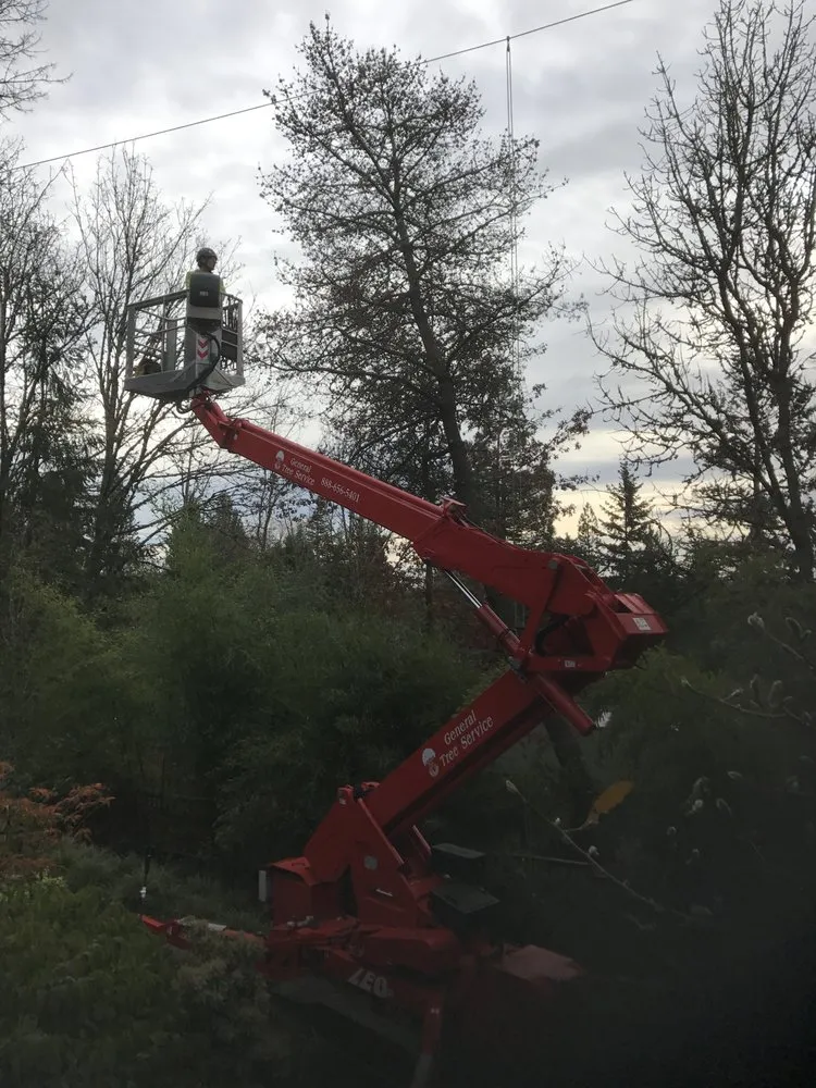 Local yard cleanup service in Beaverton, OR by SavATree Beaverton