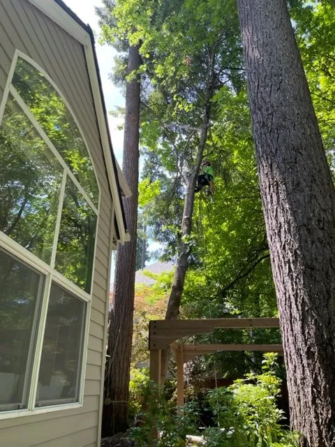 Top-rated lawn mowing service experts serving Beaverton, OR - SavATree Beaverton