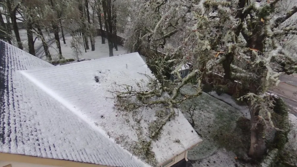 Top-rated landscaping services for outdoor upgrades across Beaverton, OR - SavATree Beaverton