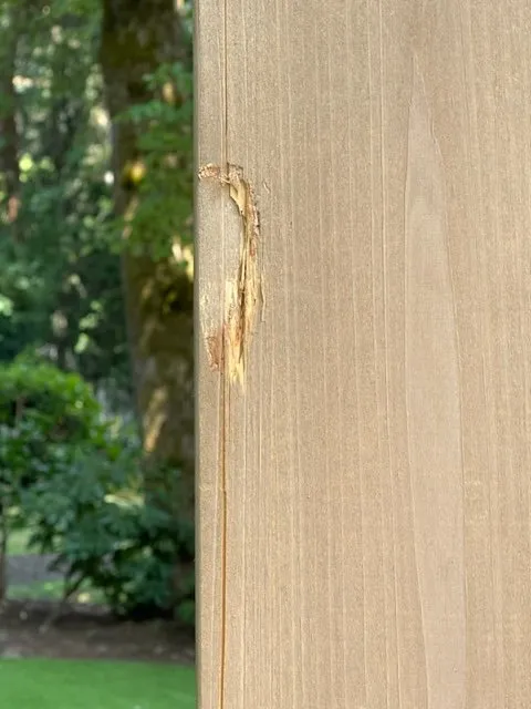 Affordable landscaping services experts serving Beaverton, OR - SavATree Beaverton