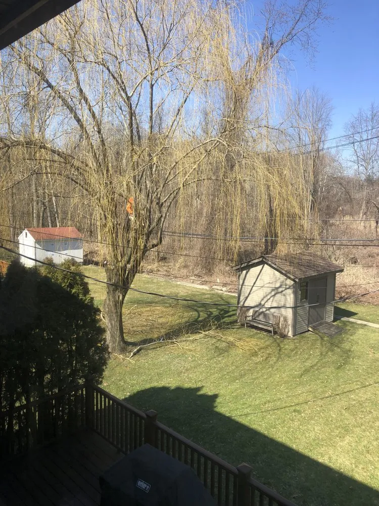 Expert lawn care service experts serving Bedford Hills, NY - SavATree Bedford