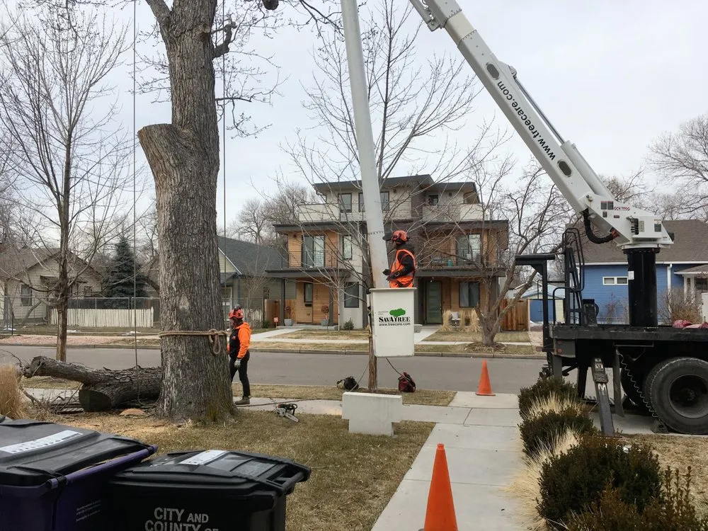 Custom residential landscaping in Centennial, CO by SavATree Denver