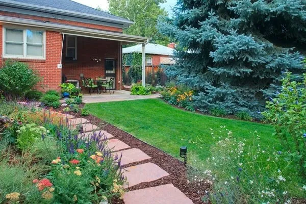 Custom yard maintenance in Centennial, CO by SavATree Denver