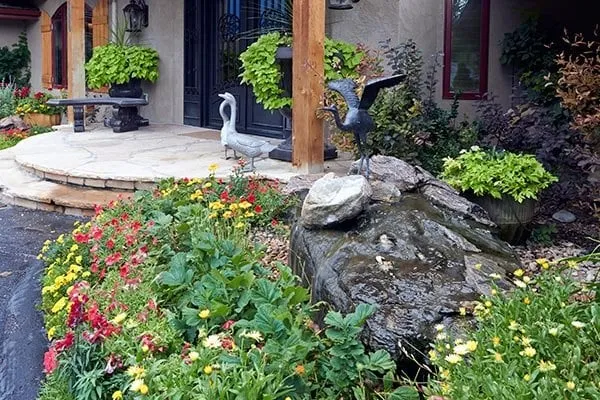 Local yard cleanup service experts serving Centennial, CO - SavATree Denver