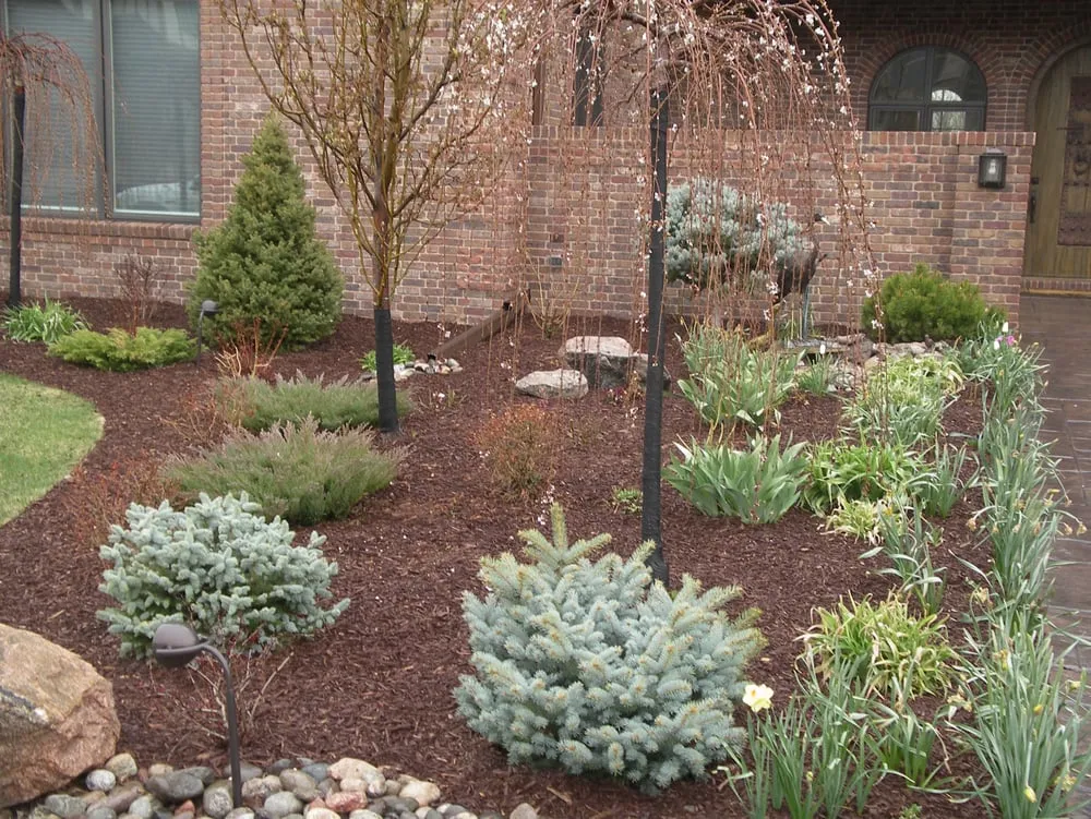 Trusted lawn mowing service in Centennial, CO by SavATree Denver