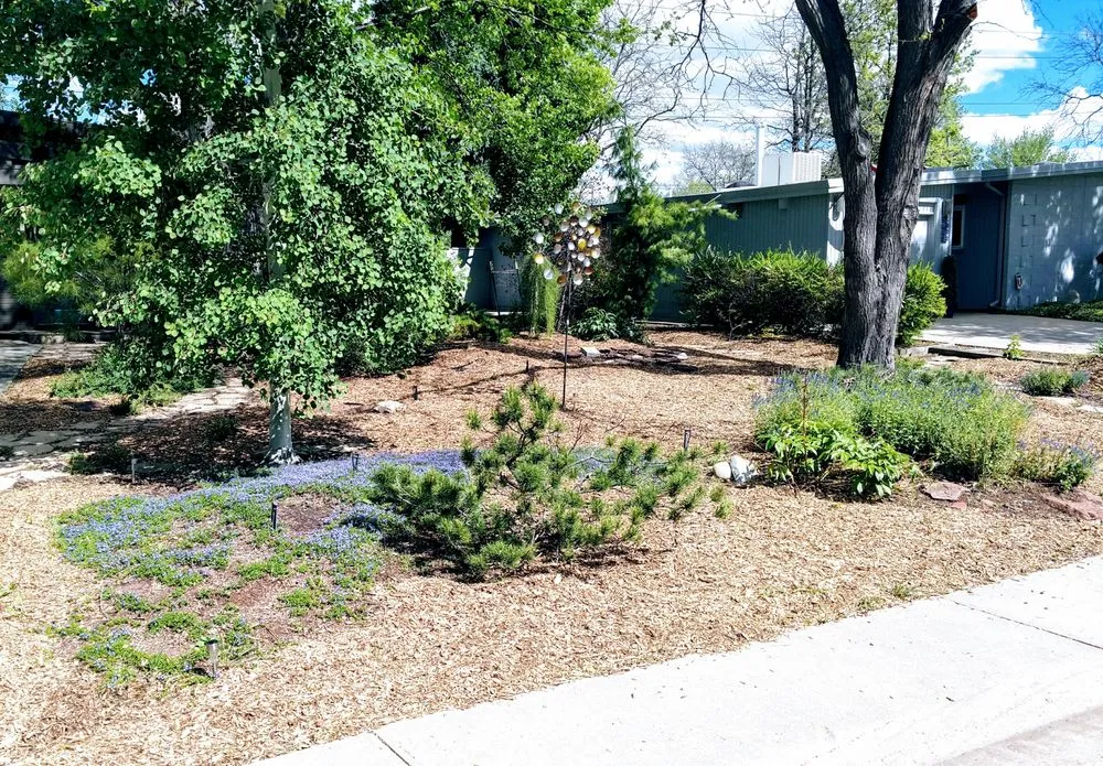Trusted garden landscaping in Centennial, CO - SavATree Denver