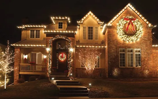 Professional landscape installation in Denver, CO by SavaTree